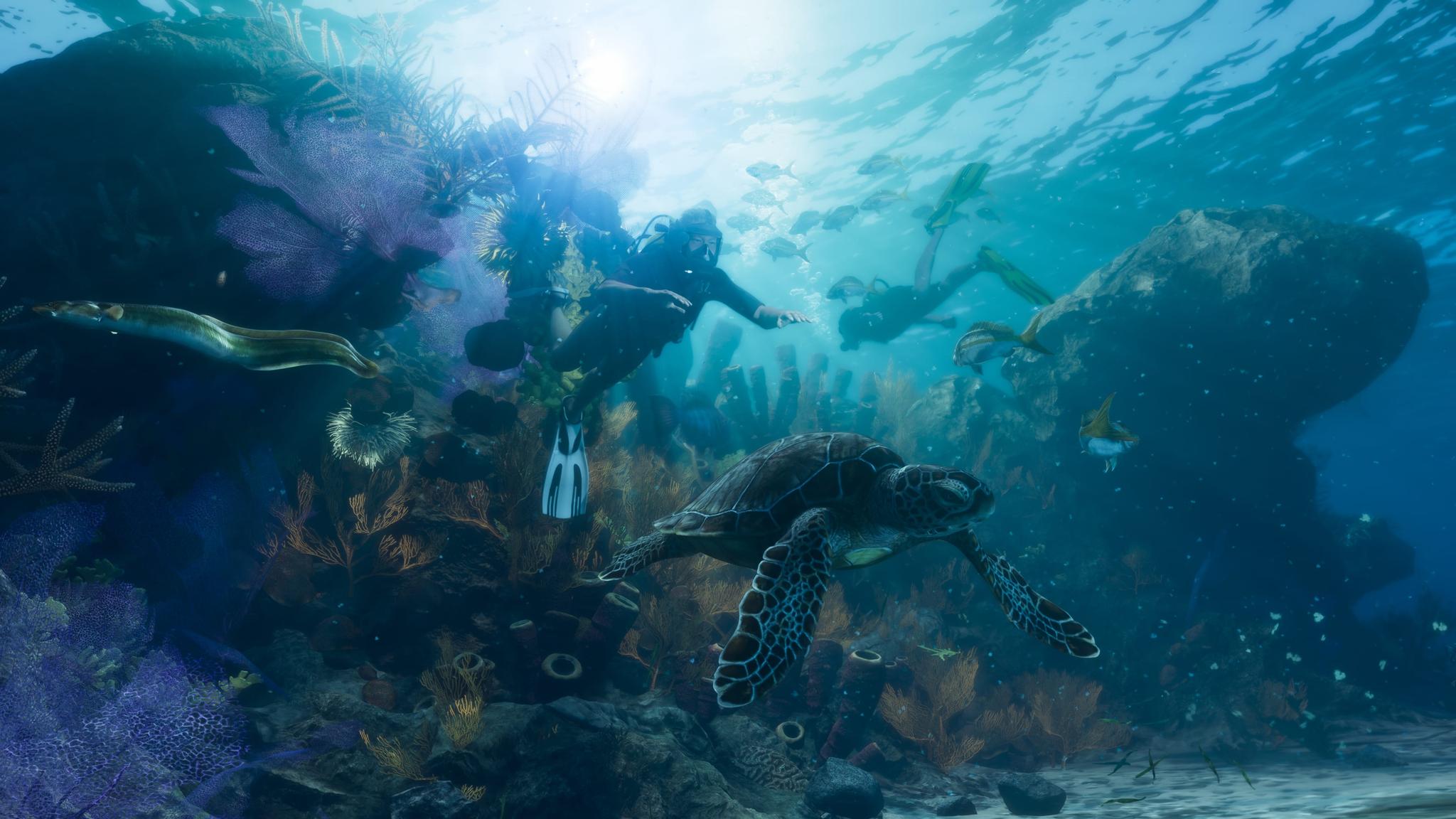 Leonida_Keys_04.ef02d8b3.jpg&w=2048&q=75